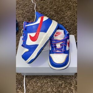 Infant Dunk Lows